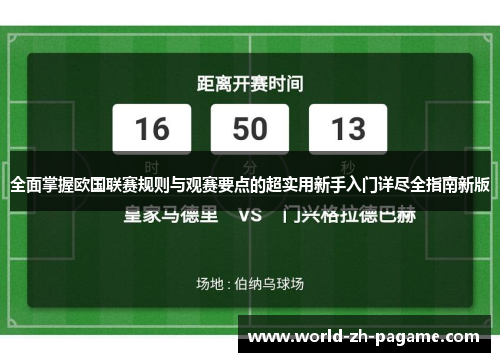 全面掌握欧国联赛规则与观赛要点的超实用新手入门详尽全指南新版