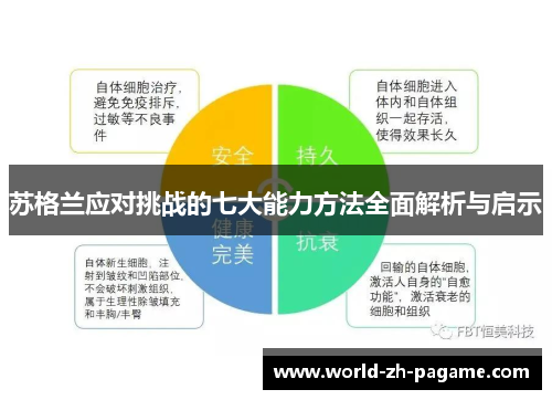 苏格兰应对挑战的七大能力方法全面解析与启示