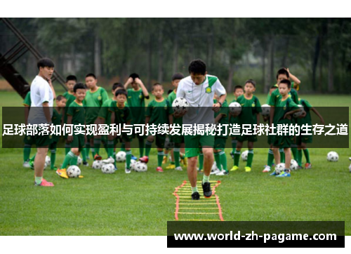 足球部落如何实现盈利与可持续发展揭秘打造足球社群的生存之道